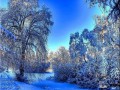 -ПАДАЛ-СНЕГ._01