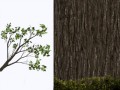 tree_01_li[1]
