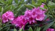 IMG_9945 копия