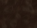 animals_texture778[1]