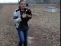 Петух встречает хозяйку