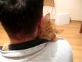 Кот