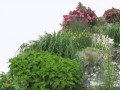 Garden-PNG-High-Quality-Image-min