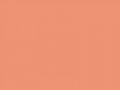 Умеренный желто-розовый	#EE9374	238	147	116