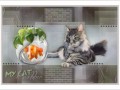 21.01.2021 My cat