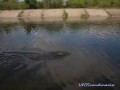 Аномалия в Чернобыле