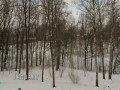 Один год за 2 минуты (+музыка из сериала Декстер)
