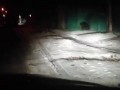 Медведь в Чите