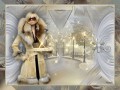 зимний сад