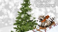 Зимний приветик!