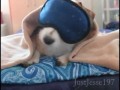 Утренняя зарядка