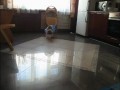Невозмутимый кот 