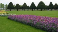 Hampton_Court_Avri_2009_40