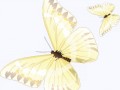 e713fb
