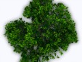 klipartz.com (11)
