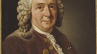 Carl_von_Linné,_1707-1778,_botanist,_professor_(Alexander_Roslin)_-_Nationalmuseum_-_15723