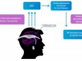 Сзема работы интерфейса Neurogress
