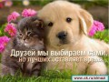 Для друзей