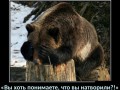 Медведь, Вы хоть понимаете, что вы натворили?