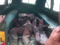 ДВА АФРИКАНСКИХ ТРУПА ПОСЛЕ СОМОСУДА