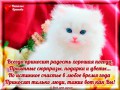 Хорошему человеку!