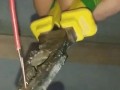 ысф