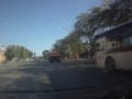 Камаз переехал собаку