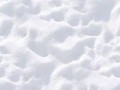 images (1)-min