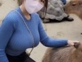 Девушка гладит капибару