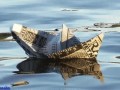 Я шагнула на корабль,а кораблик оказался из газеты вчерашней...