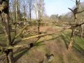 Как Шимпанзе сбивает дрон