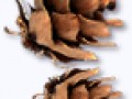_4