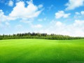 17363_field-hill-trees-sky-landscape_4293x2522_h