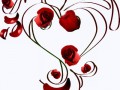 heartnroses_zps95d21113