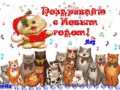 новогодняя котовасия