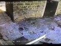 Супер прыжок чтоб поймать голубя