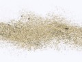3574333 (1)