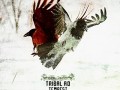 Tribal A.D. - Tempest