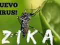Вирус зика!!! Угроза человечеству!!!