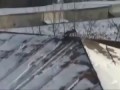 Умная Ворона катается по крыше. Прикол.
