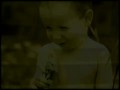 Дельфин - Васильки (Существо 2011)