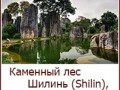 li_png_0017