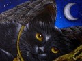 BLACK-ANGEL-CAT-KATZE-GOOD-NIGHT-MOM