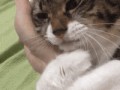 ezgif.com-video-to-gif