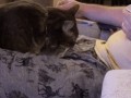 1651586405_gifs_12