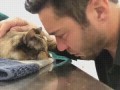Прощание с кошкой