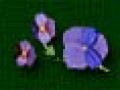 3_3