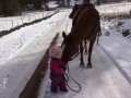 Девочка и лошадка