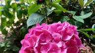 20260729_130439 копия