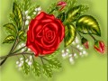 -ЖИЗНЬ-КАК-РОЗА_01